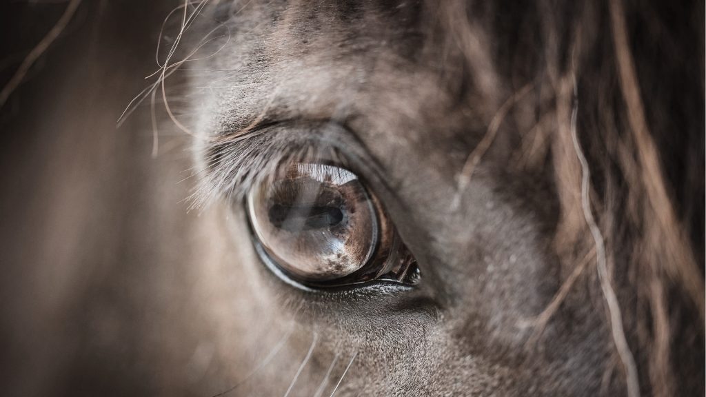 Einzelcoaching München 2 Teamentwicklung Bayern