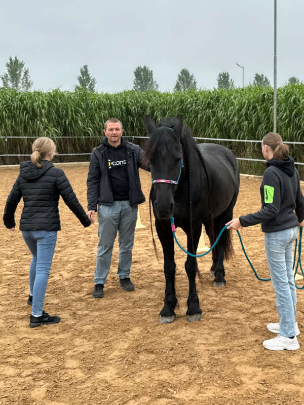 Einzelcoaching München 1 Teamzusammenhalt stärken mit Teamcoaching für Firmen in Oberbayern - das Teamevent mit Pferden
