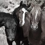 Adjourning - letzte Phase im Tuckman Modell der Teamentwicklung