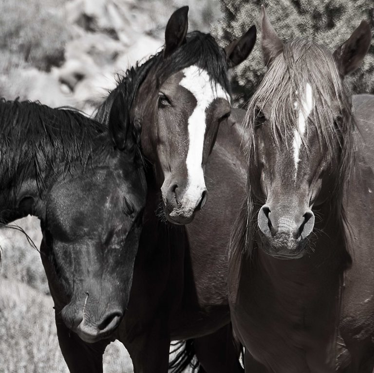 Adjourning - letzte Phase im Tuckman Modell der Teamentwicklung
