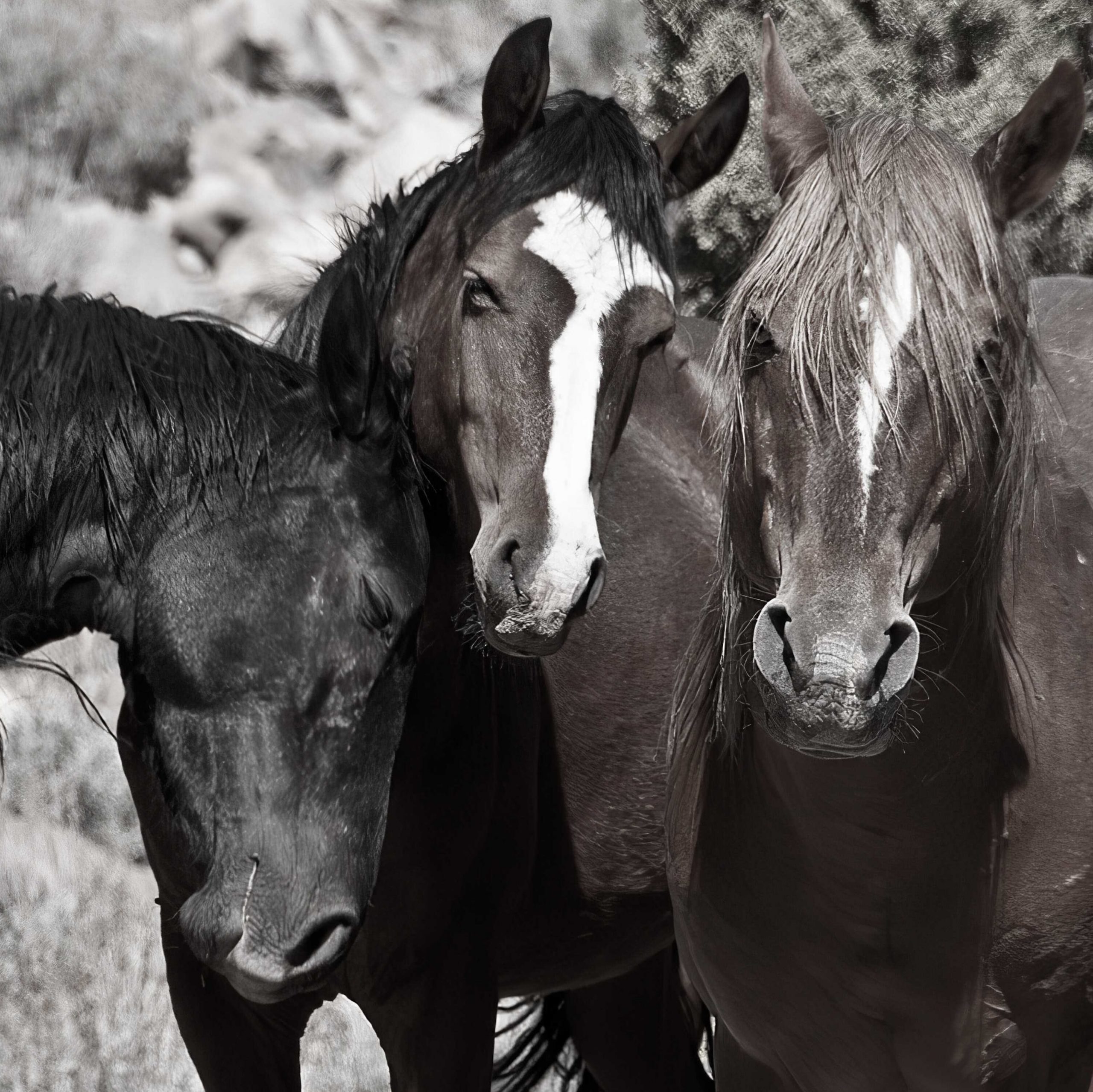 Adjourning - letzte Phase im Tuckman Modell der Teamentwicklung
