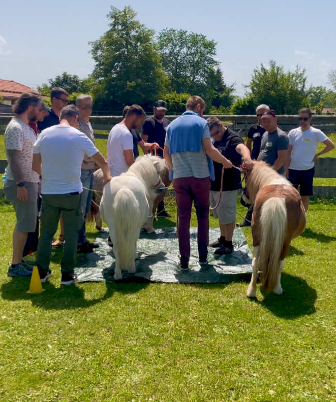 Übersicht der Teamphasen nach Tuckman - für Teamkonflikte