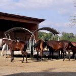 Die Phase des Norming in der Teamentwicklung nach Tuckman