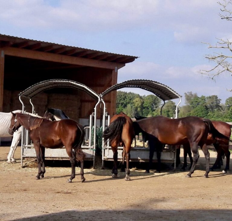 Die Phase des Norming in der Teamentwicklung nach Tuckman