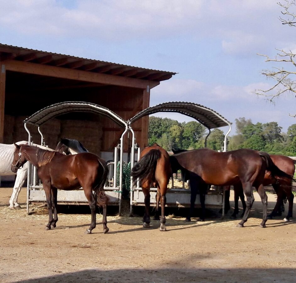 Die Phase des Norming in der Teamentwicklung nach Tuckman